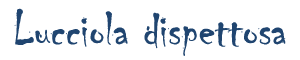 Lucciola dispettosa